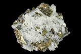 Chalcopyrite, Pyrite, Galena and Quartz Association - Peru #149583-1